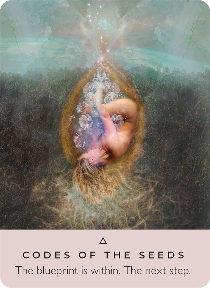 The Rose Oracle Pocket Edition