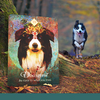 The Spirit Animal Oracle 