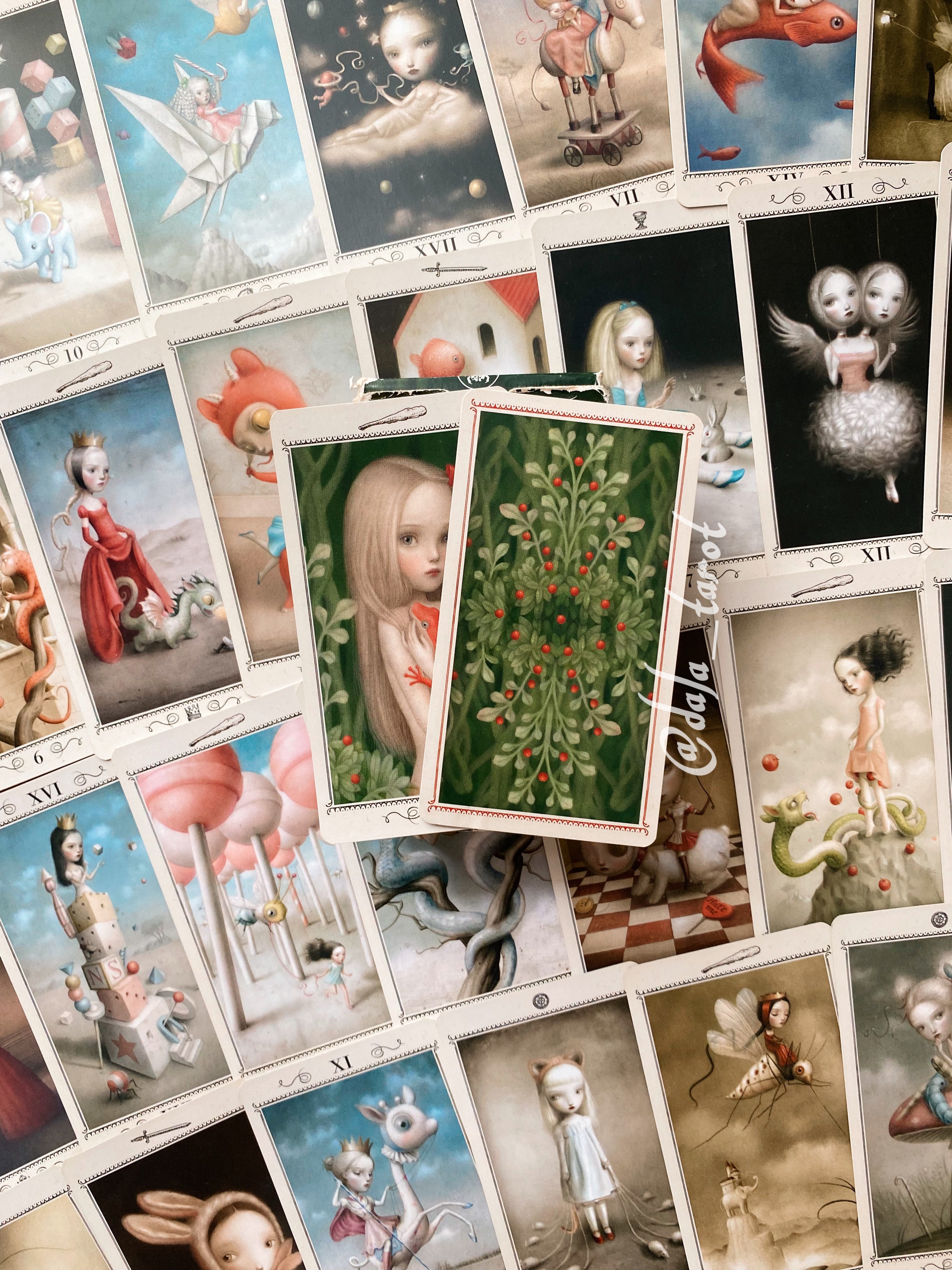 Nicoletta Ceccoli Tarot – Dala Tarot Deck