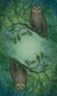 Forest of Enchantment Tarot