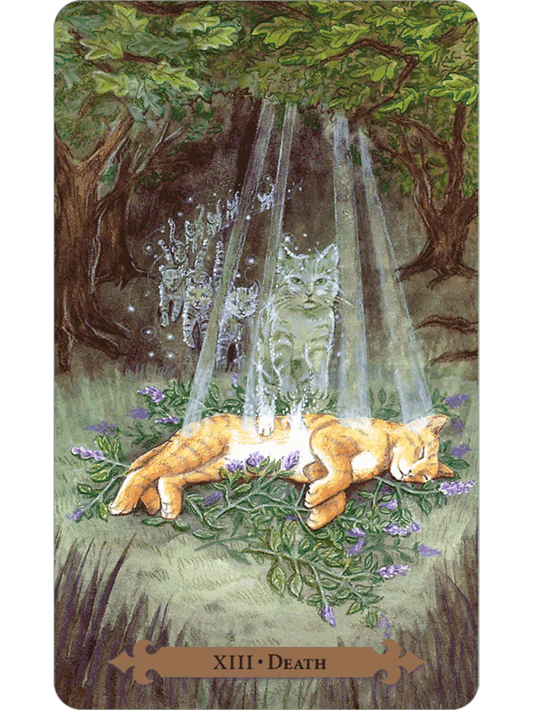 Mystical Cats Tarot