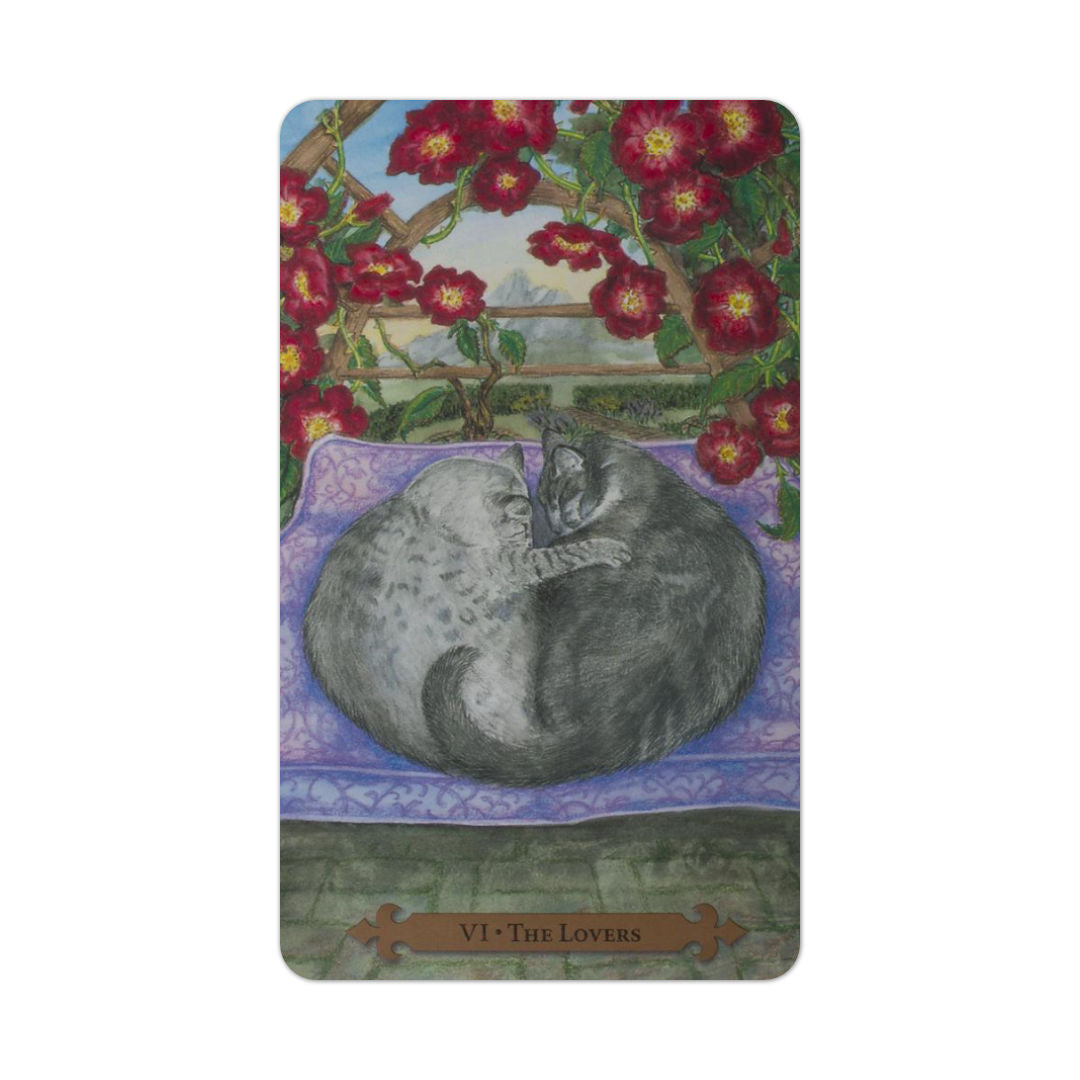 Mystical Cats Tarot
